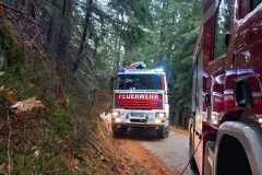 WhatsApp-Image-2025-11-17-at-16.52.06-3